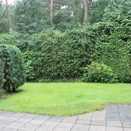 Bospark Het Hoefbos - Veluwe *