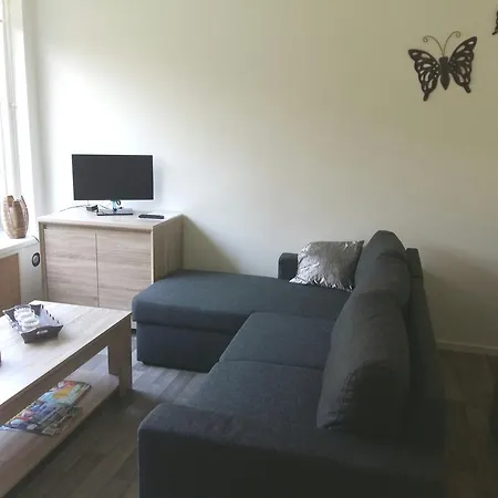 Bospark Het Hoefbos - Veluwe Apartamento *