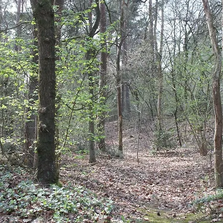 Apartamento Bospark Het Hoefbos - Veluwe