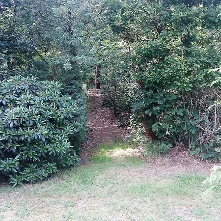 Bospark Het Hoefbos - Veluwe Otterlo