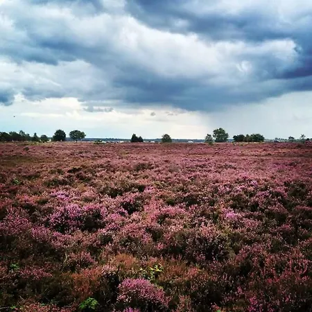 Bospark Het Hoefbos - Veluwe Apartamento Otterlo