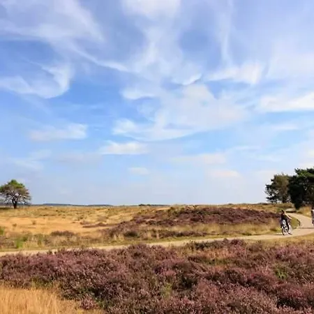 Bospark Het Hoefbos - Veluwe