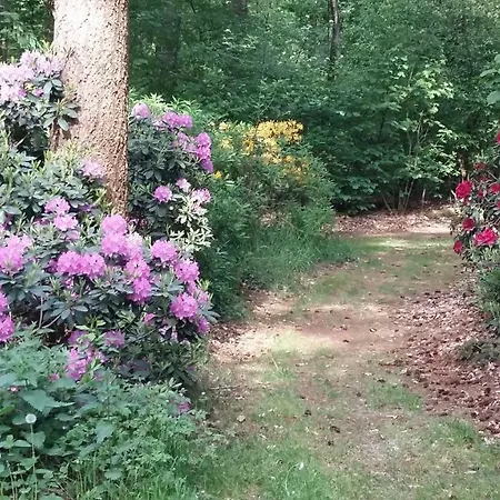Bospark Het Hoefbos - Veluwe Apartamento Otterlo