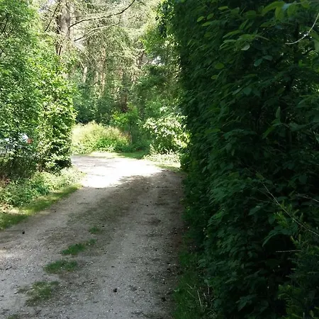 Bospark Het Hoefbos - Veluwe Apartamento