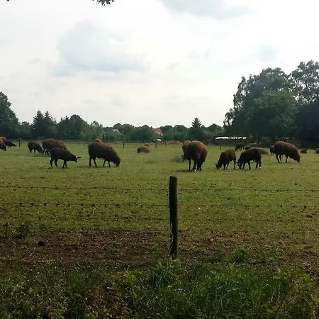Apartamento Bospark Het Hoefbos - Veluwe Otterlo